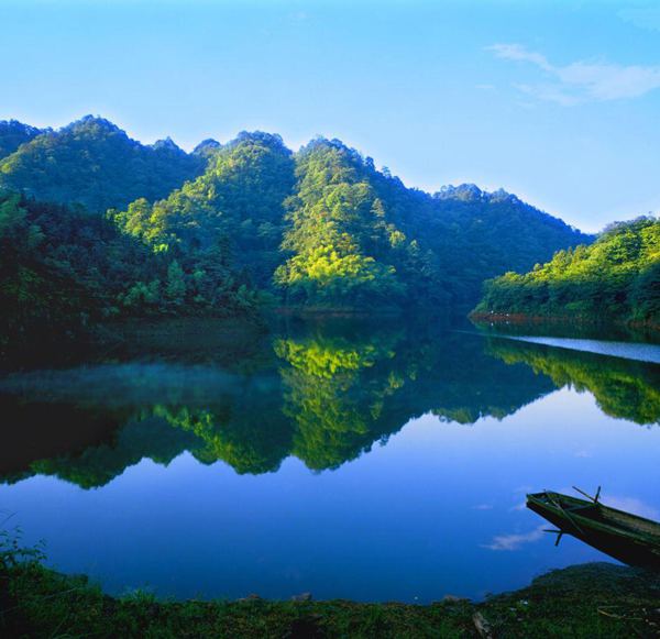 赤水竹海