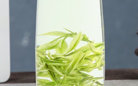 正安白茶